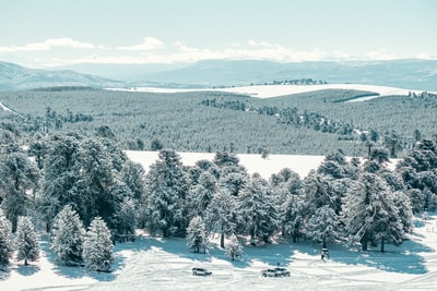 During the day, the snow covered trees and mountains
